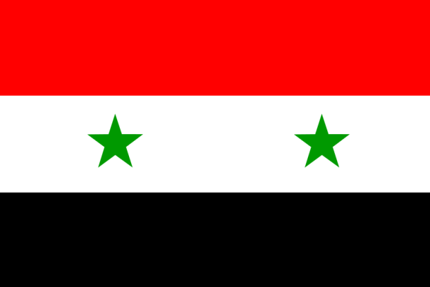 bandeira síria.png
